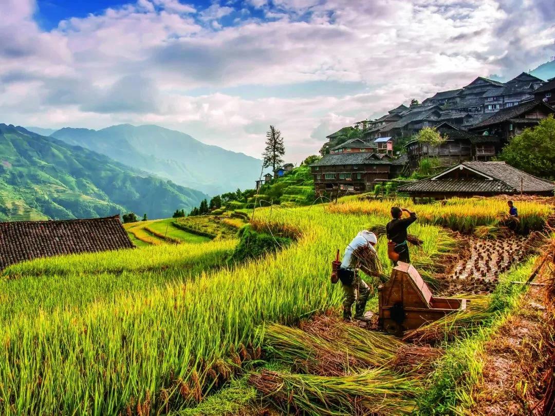 遵義市匯川區(qū)南京路，黔路之上的多彩貴州