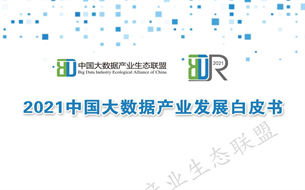 2021中國大數據產業(yè)生態(tài)地圖暨中國大數據產業(yè)發(fā)展白皮書